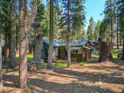 17 Big Meadow Road, Tamarack, CA 95223
