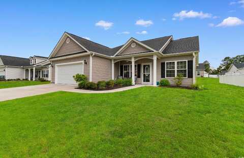 141 Baylee Circle, Galivants Ferry, SC 29544