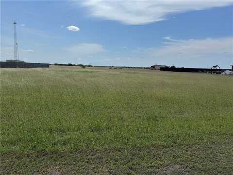 Anaqua Drive, Orange Grove, TX 78372