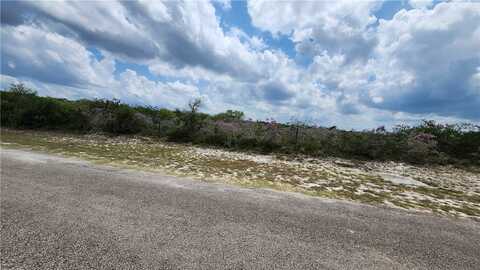 15 County Road 372, Sandia, TX 78383