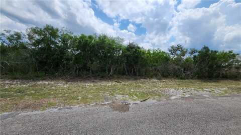 16 County Road 372, Sandia, TX 78383