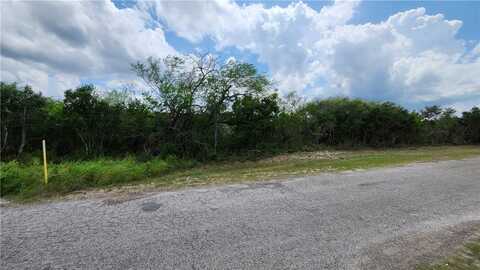 17 County Road 372, Sandia, TX 78383