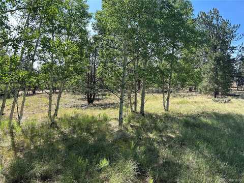 519 Hayhook Way, Hartsel, CO 80449