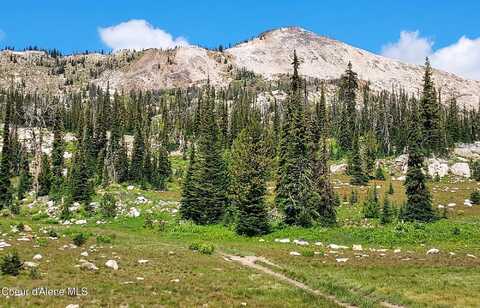 Crooked River Road, Orogrande, ID 83525