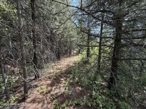 372 Maple Ln, Fernwood, ID 83830