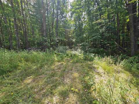 NHN E Clarence, Harrison, MI 48625