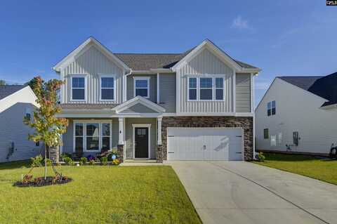 444 Dolomite Court, Chapin, SC 29036