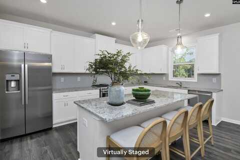 444 Dolomite Court, Chapin, SC 29036