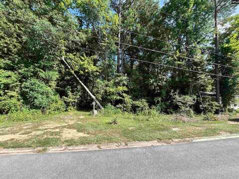 1120 Newnham Drive, Columbia, SC 29210