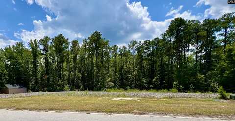 137 Mountain Maple Lane, Blythewood, SC 29016