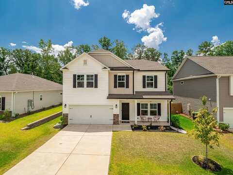 117 Irish Setter Street, Chapin, SC 29036