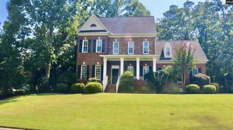319 Sienna Drive, Chapin, SC 29036