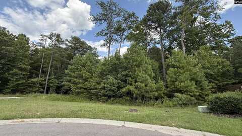 542 Golden Rod Court, Columbia, SC 29016