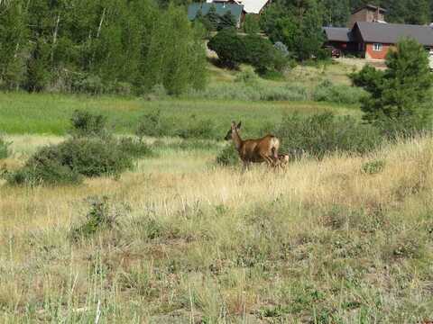 310 Sundown Drive, Creede, CO 81130