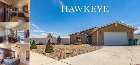 1320 Sparrowhawk Drive, Farmington, NM 87401