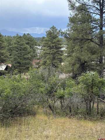 821 Aspenglow Boulevard, Pagosa Springs, CO 81147