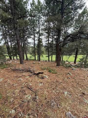 94 W Golf Place, Pagosa Springs, CO 81147