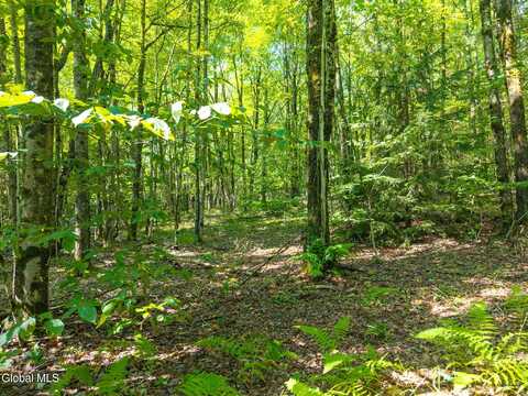 135 Dragoo Road, Maryland, NY 12155