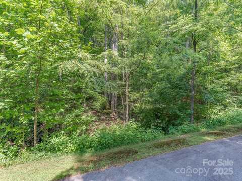 Chesterfield Drive lot: 231, Mill Spring, NC 28756