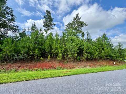 2039 Lake Vista Drive NE unit: 38, Connelly Springs, NC 28612
