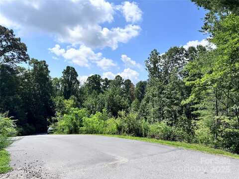 3 Winter Hawk Drive unit: 1, Arden, NC 28704