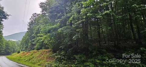 Old CCC Road, Hendersonville, NC 28739