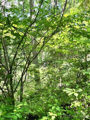 287 Indian Camp Creek Road, Hot Springs, NC 28743
