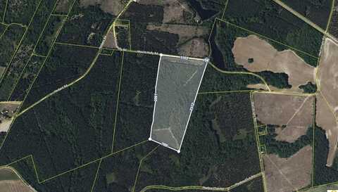 0 Mt Holly Road, Norway, SC 29113