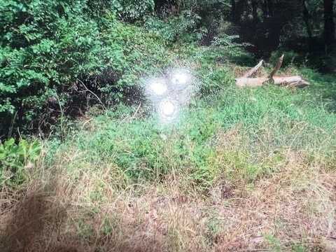 0 Plantation Estates Lane, Gaston, SC 29053