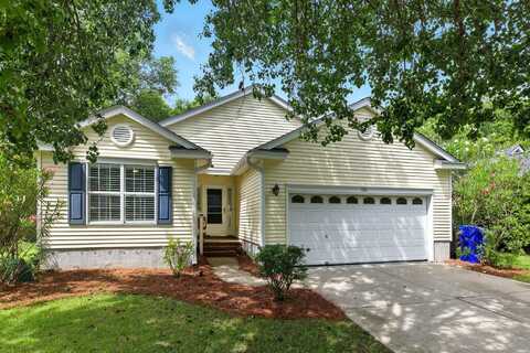 1321 Wild Olive Drive, Mount Pleasant, SC 29464