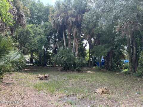 321 Rose Avenue, Daytona Beach, FL 32114