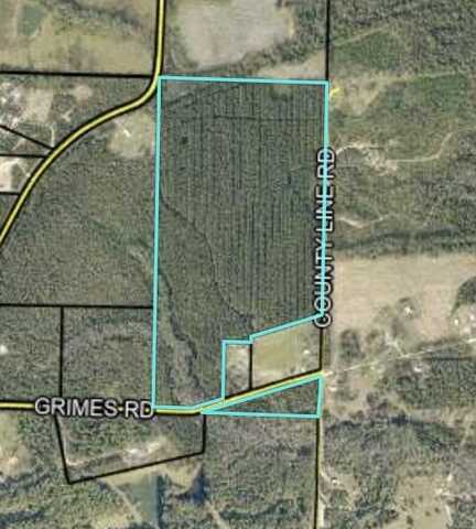 72 Acres Grimes Road, Laurel Hill, FL 32567