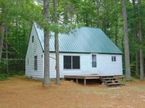 6035 W Sadlers Loop Driggs Lake, Seney, MI 49883