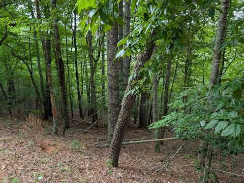 Chestnut Hill Dr, Franklin, NC 28734