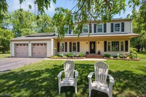 8 Grafton Ct, Hillsborough, NJ 08844