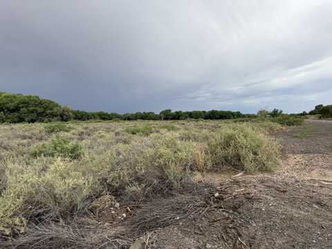 Winery Road, Bosque, NM 87006
