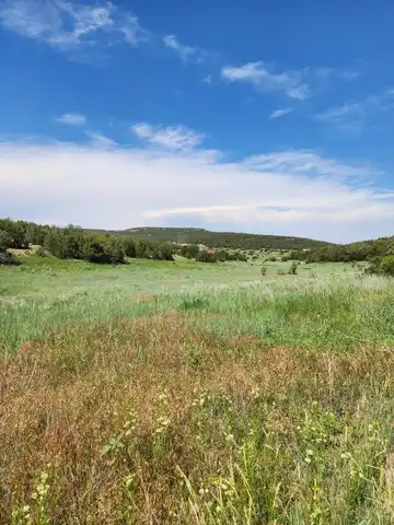 Escalante Road, Edgewood, NM 87015