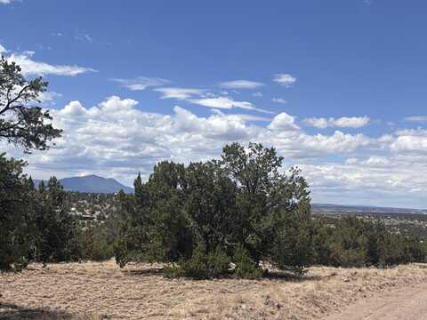 Lots 53 & 54 Golden Horseshoe, Quemado, NM 87829