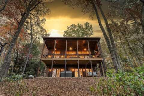 44 Hothouse Spur, Mineral Bluff, GA 30559