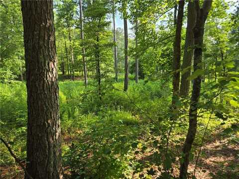 299 Tippens Road, Canton, GA 30114
