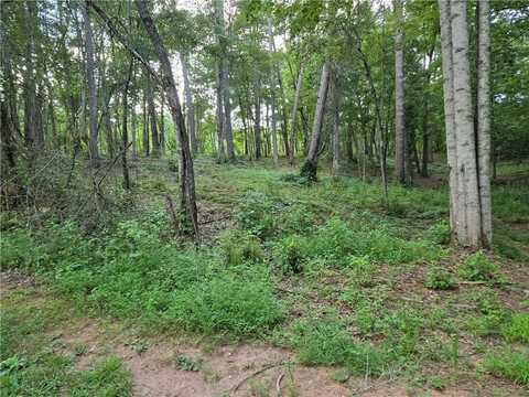 384 Tippens, Canton, GA 30114