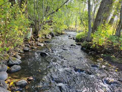 NHN Hyalite Canyon Road, Bozeman, MT 59715