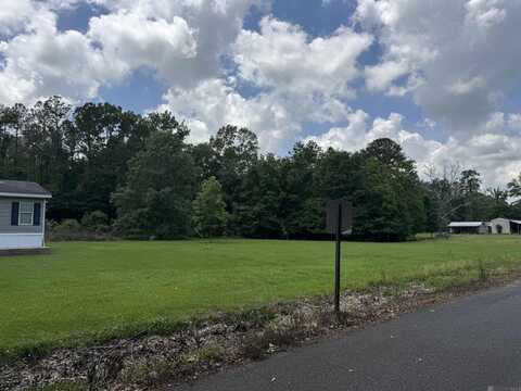 18307 Robert Denham Rd, Prairieville, LA 70769