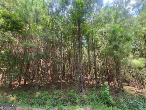 0 O F Lanier, Pembroke, GA 31321