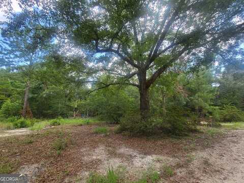 850 O F Lanier, Pembroke, GA 31321