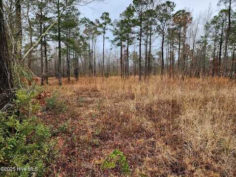 8055 N Us 17 Hwy, Vanceboro, NC 28586