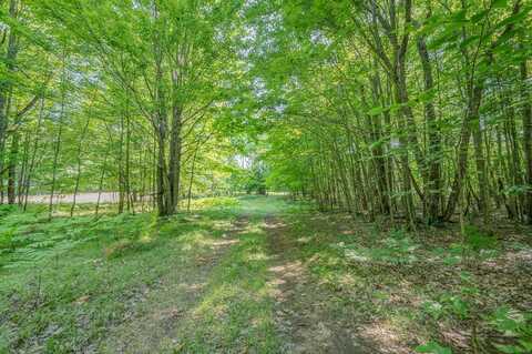 V/L 120th Ave, Hersey, MI 49639