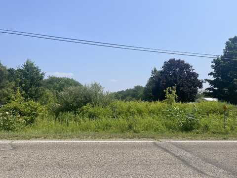 0 Lansing Avenue, Jackson, MI 49201