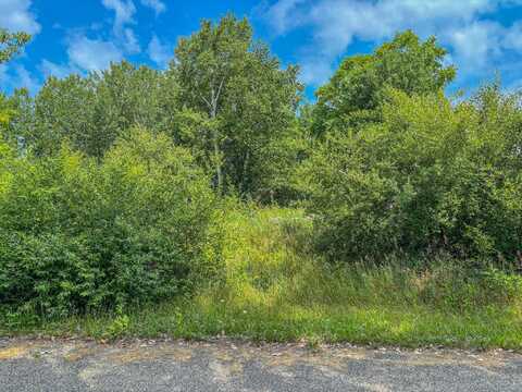 11580 Tanglewood Trail S. #24, Canadian Lakes, MI 49346