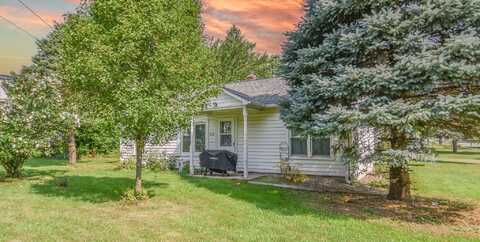 216 E St Joe Street, Litchfield, MI 49252